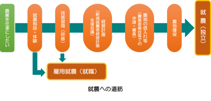 image003.png
