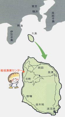 栽培漁業センター（地図）