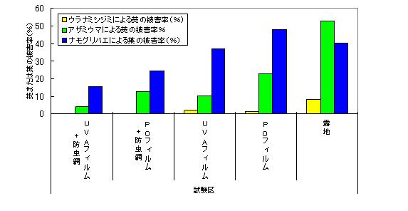 フィルムの効果