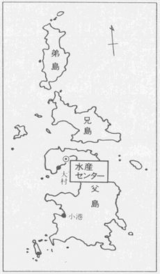 小笠原水産センター 地図
