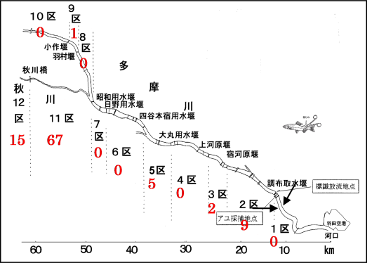 図5