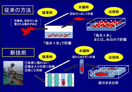 図1