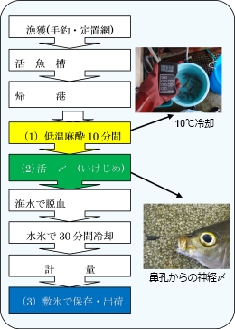 図1