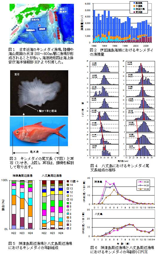 キンメダイの測定から見えてくること（キンメダイの魚体特性と資源生態）図表