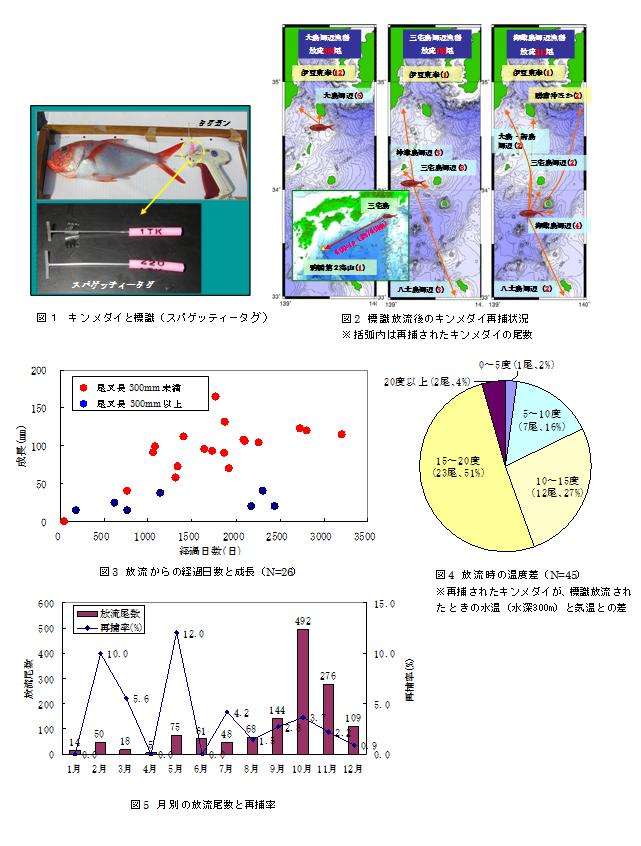 伊豆諸島北部海域におけるキンメダイの標識放流結果（移動経路の解明に向けて） 図表