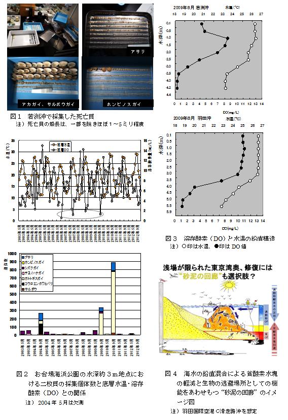 東京湾における魚介類生息環境の改善策を探る！（二枚貝類から生息場の問題を明らかにする） 