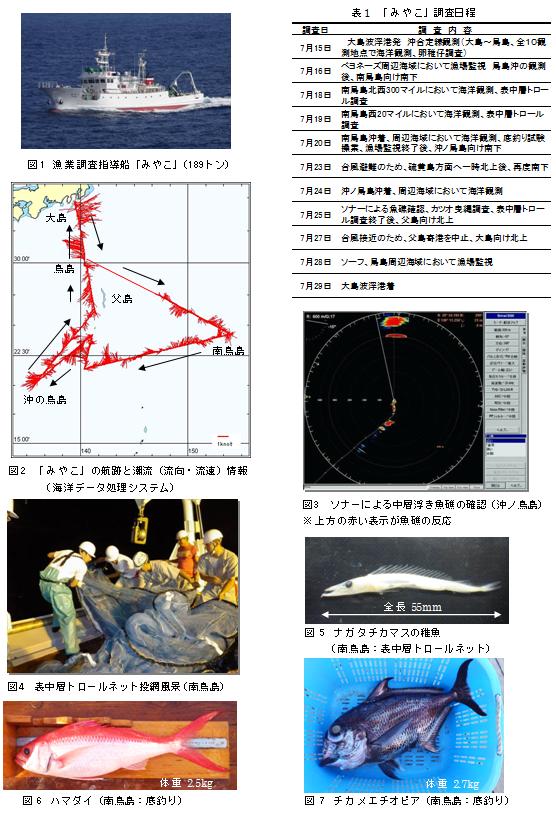 漁業調査指導船「みやこ」の長期航海（南鳥島から沖ノ鳥島周辺海域調査について） 図表