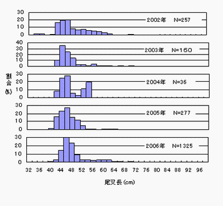 図3 「たくなん」漁獲物の尾叉長組成