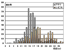 図2 10月12日にお台場で採取したアサリ、シオフキの殻長組成