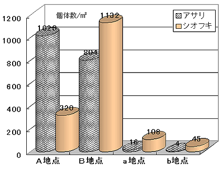 図3 お台場（A,B地点）と東なぎさ（a,b地点）の基準水面付近各2地点のアサリとシオフキの採集密度（個体数／m2）