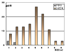 図1 10月25日に東なぎさで採取したアサリ、シオフキの殻長組成