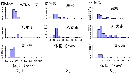 図4 2006年ボンゴネット調査（水深約50m）におけるキンメダイ仔稚魚の海域別、月別体長組成の変化