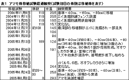 表1 アマモ株移植試験経過観察(試験初日の株数は移植株を表す)