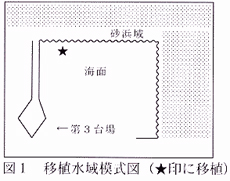 図1 移植水域模式図