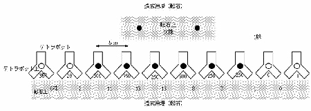 図2碁石浜におけるスポアバッグの効果範囲：