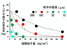 図4 堆積粒子量・粒子径と着生率の関係