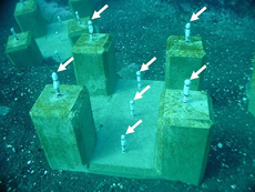 図5 マクサ人工礁