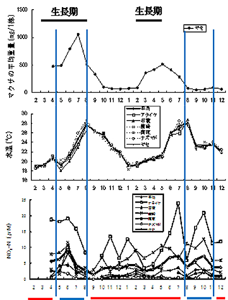 図2 2005年から2006年のマクサ成長と海況変化