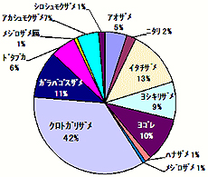 図3 八丈島周辺海域で漁獲されたサメ類の出現種組成