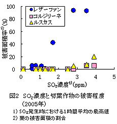 図2 SO2濃度と切葉作物の被害程度