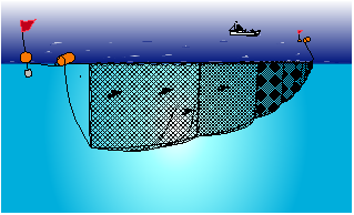 図1　ハマトビウオ流し刺し網