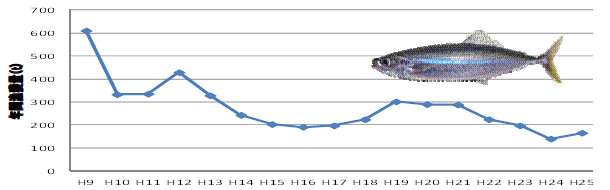 図１　クサヤモロ漁獲量推移