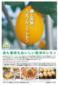図２　「八丈フルーツレモン」のポスター