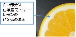 図３　「八丈フルーツレモン」の厚くてふわふわな果皮