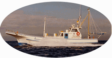 漁業調査指導船かもめ(3.9t)