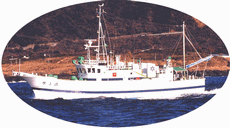 漁業調査指導船やしお(43t)