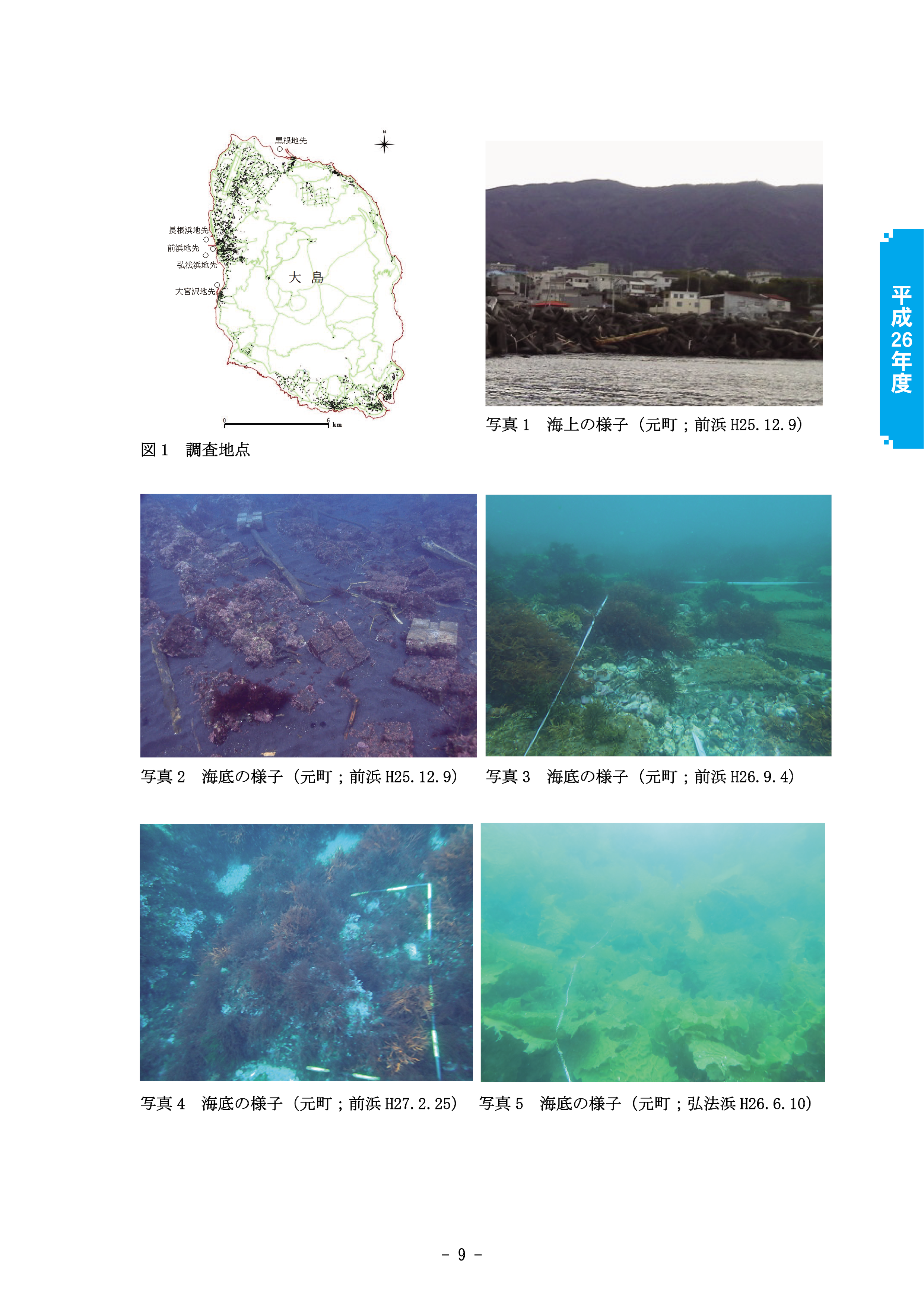 大島の磯根漁場の推移 砂を台風26号による漁場被害調査 東京都島しょ農林水産総合センター