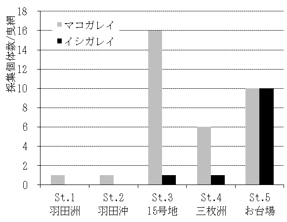 写真2　カレイ類2種の地点別・採集個体数