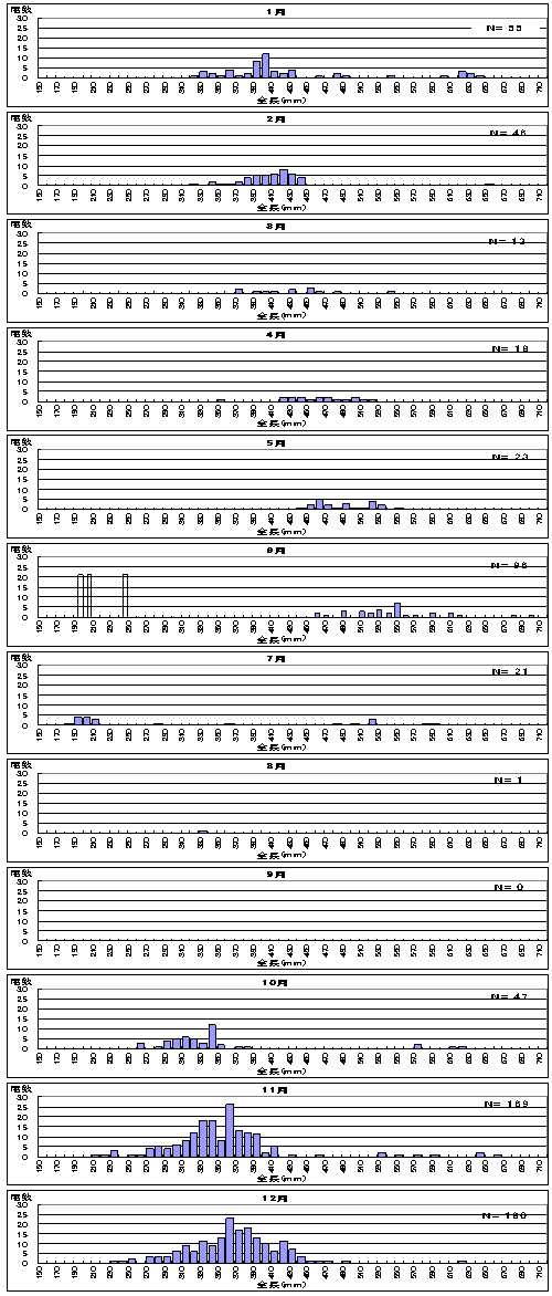 アナゴ体長組成