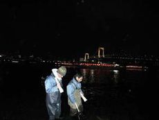 お台場海浜公園の夜間シラスアユ調査風景