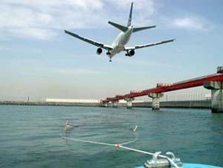 羽田空港滑走路前の浅場の曳き網風景で、この地点は多摩川河口に当たります。