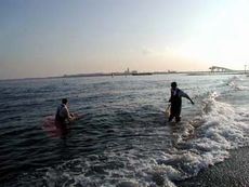 城南島波打ち際での曳網(対岸の羽田空港が見える)