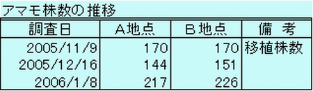 アマモ株数の推移