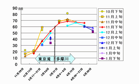 旬単位のふ化グループ毎に束ねた平均体長