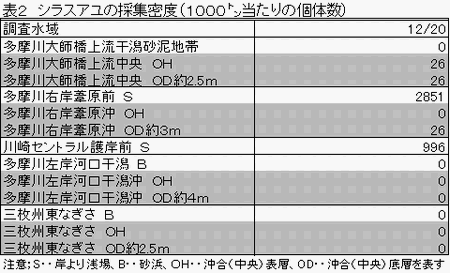 表2 シラスアユの採集密度