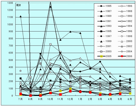 過去20年間の漁獲尾数の折れ線グラフ