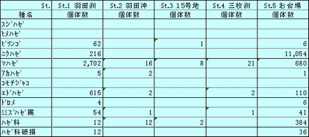 主要ハゼ科魚類