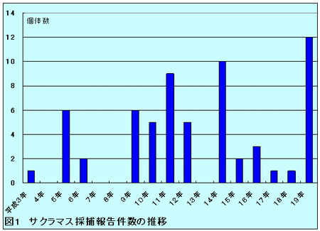 図1 サクラマス採捕報告件数の推移