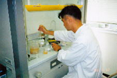 卵数を計数する研究員