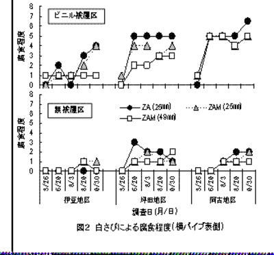 白さびによる腐食状況