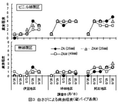 白さびによる腐食程度、縦パイプ表側