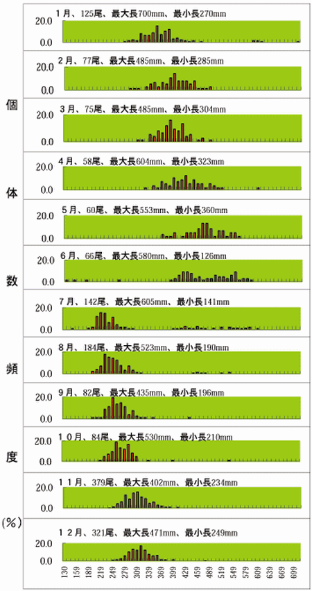 図1 1999年東京湾マアナゴの月別全長組成