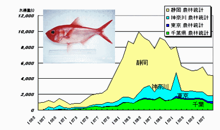 図1 一都三県キンメダイ漁獲量の推移