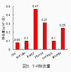 図5 T-P除去量