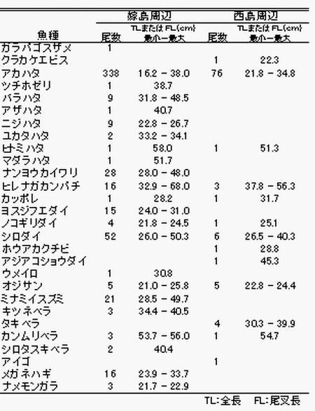 表1 漁獲された魚類