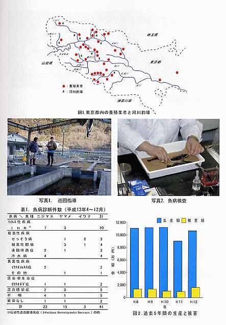 平成13年度_資源管理型漁業_説明資料